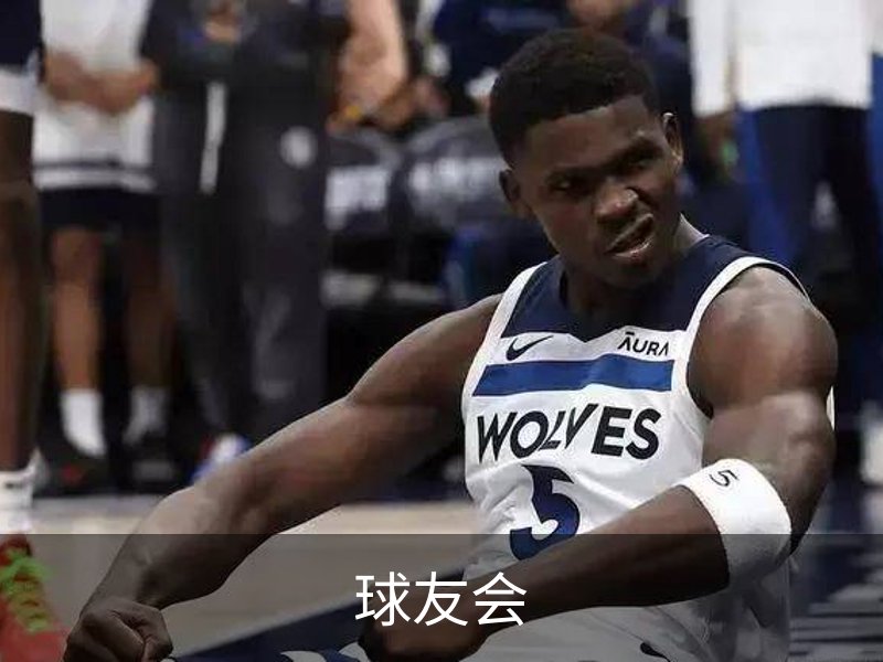 球友会概况